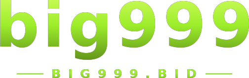 big999 logo
